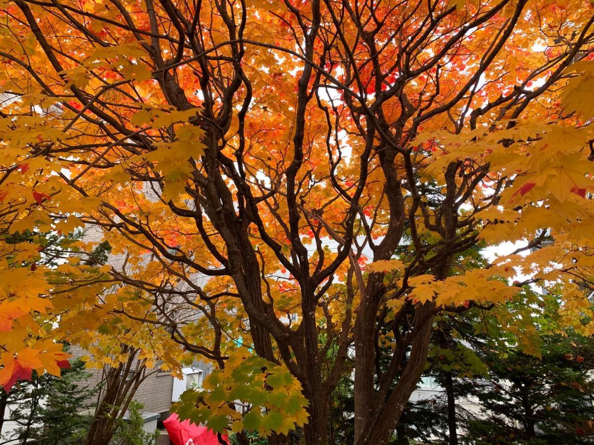 Hdo Sumikawa Villa Sapporo Exteriér fotografie